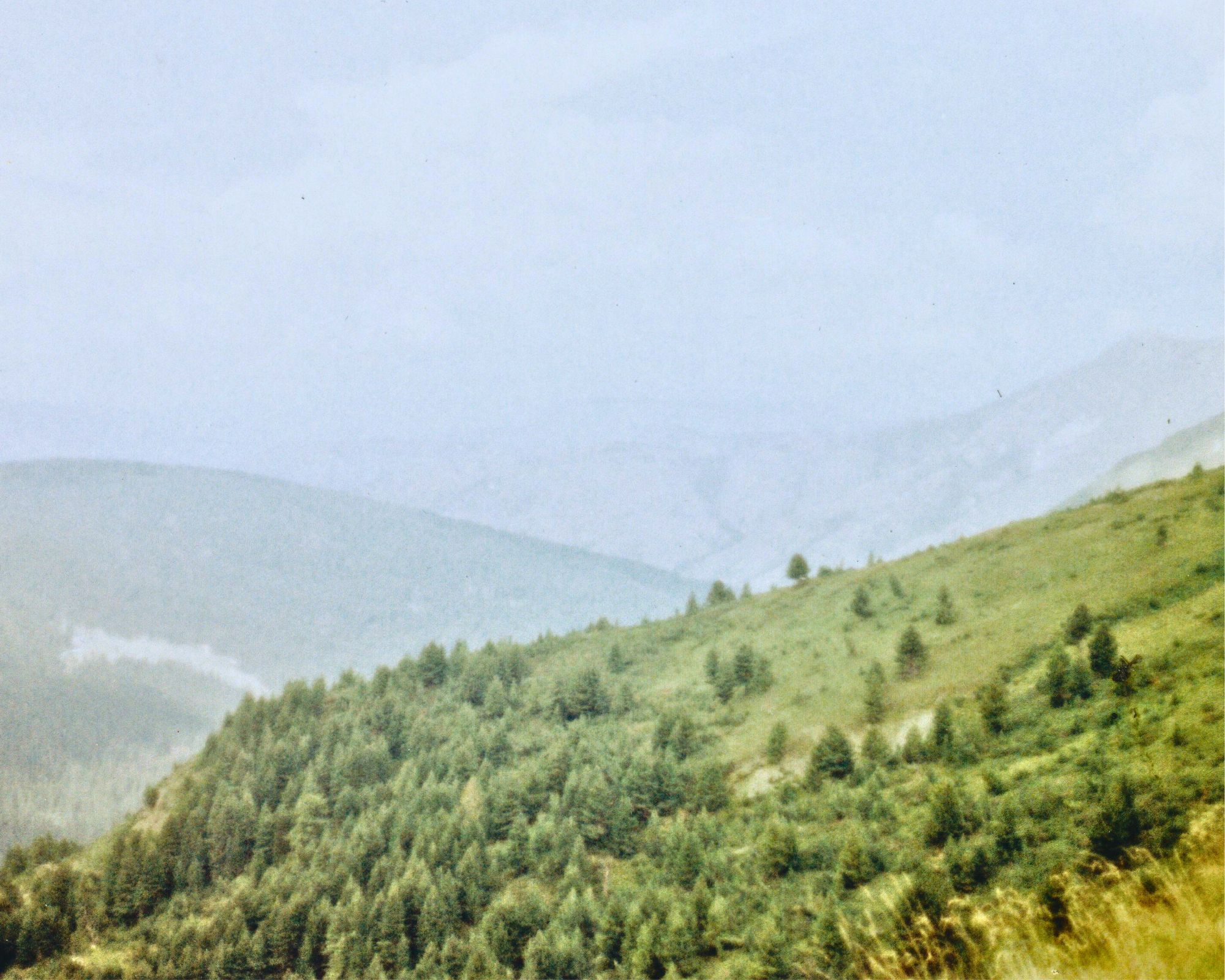 Berg