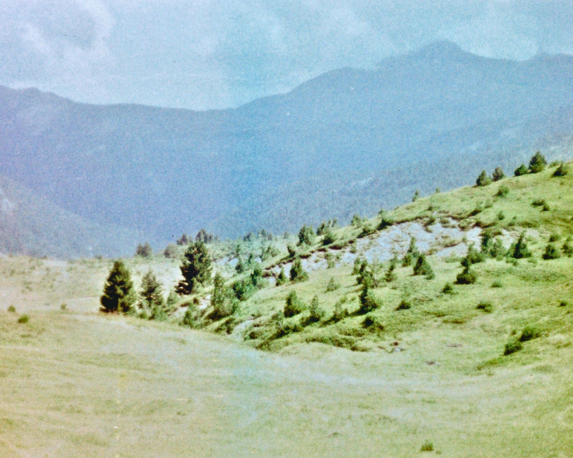 Berg2
