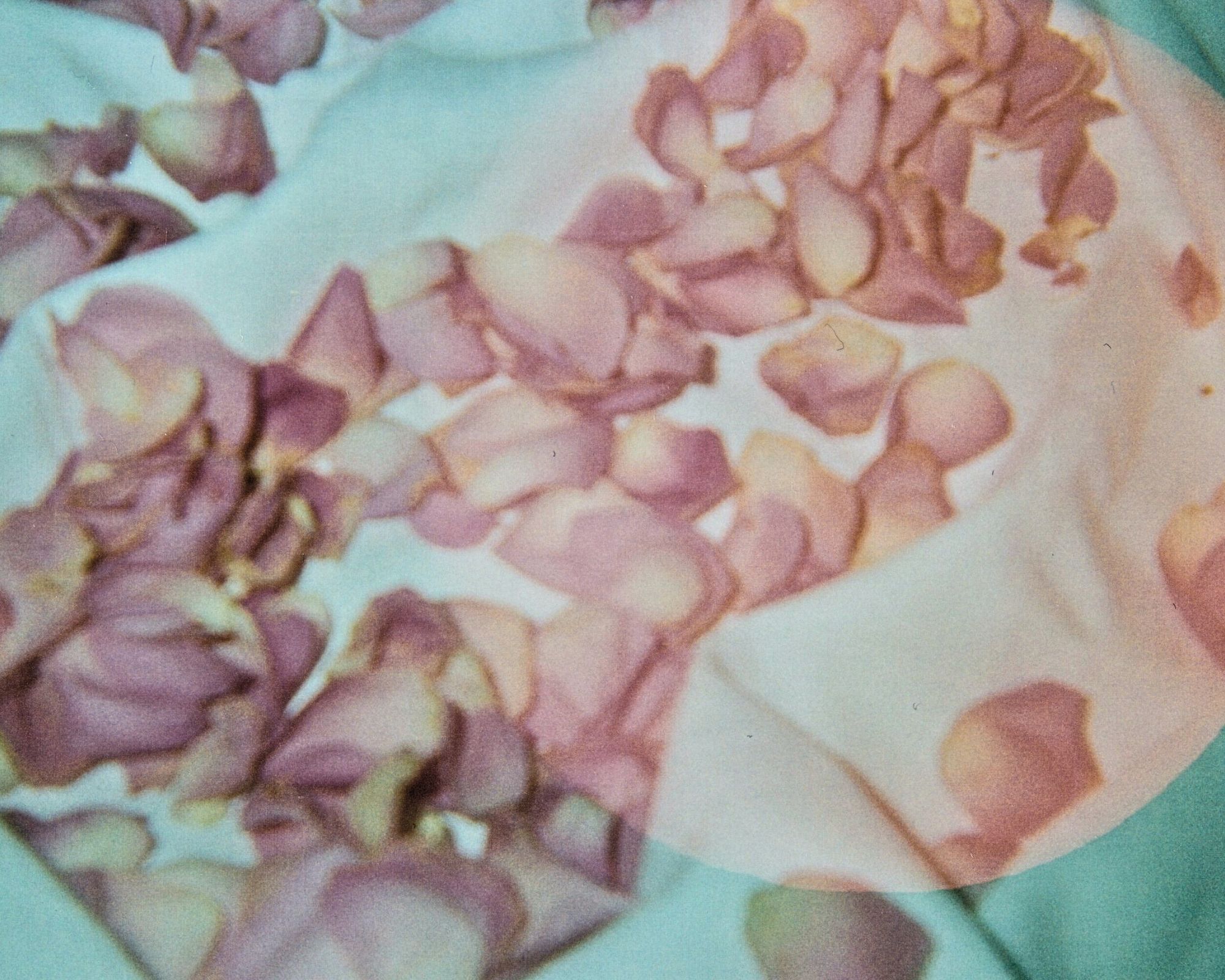 Rose9